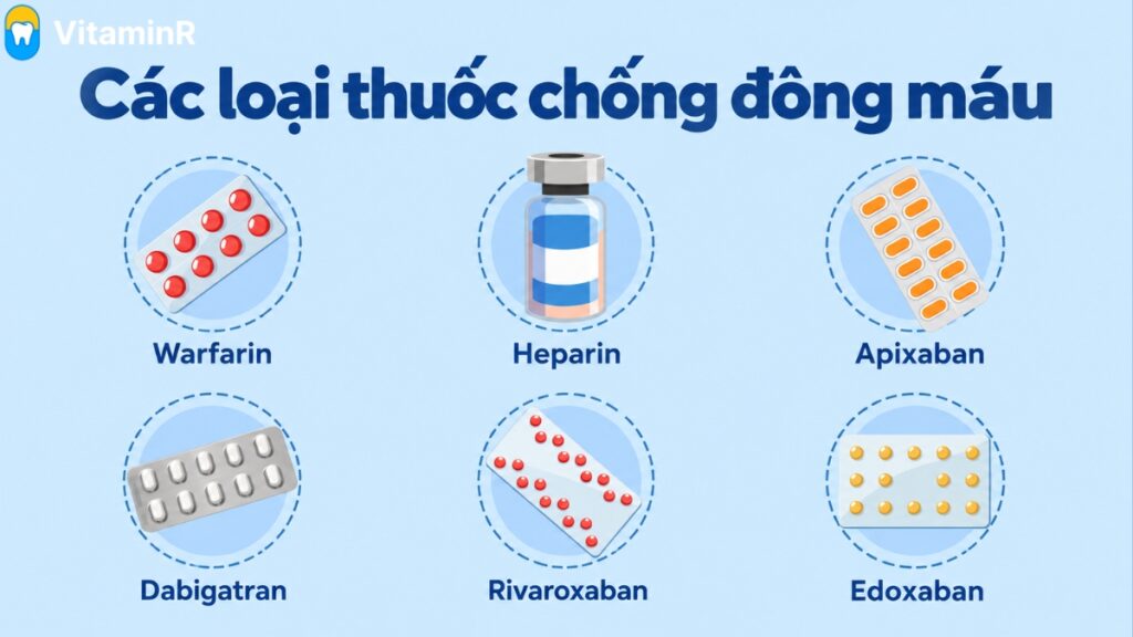 Minh họa các thuốc chống đông máu gồm warfarin, heparin, apixaban, dabigatran, rivaroxaban và edoxaban tại Nha khoa VitaminR