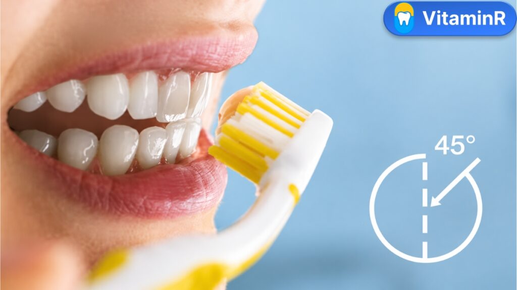 Minh họa đặt bàn chải nghiêng 45 độ khi làm sạch răng gần viền nướu